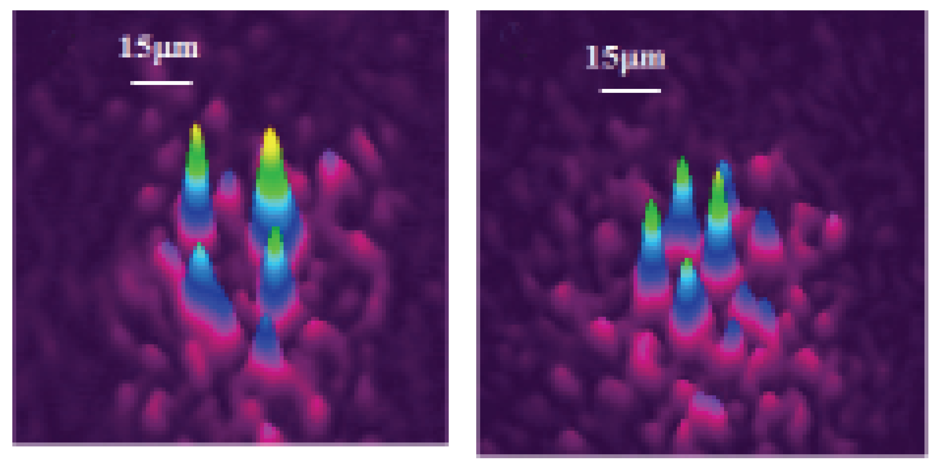 Entropy 26 00137 g003 Entropy 26 00137 g003