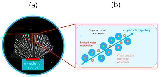 Entropy 26 00255 g003