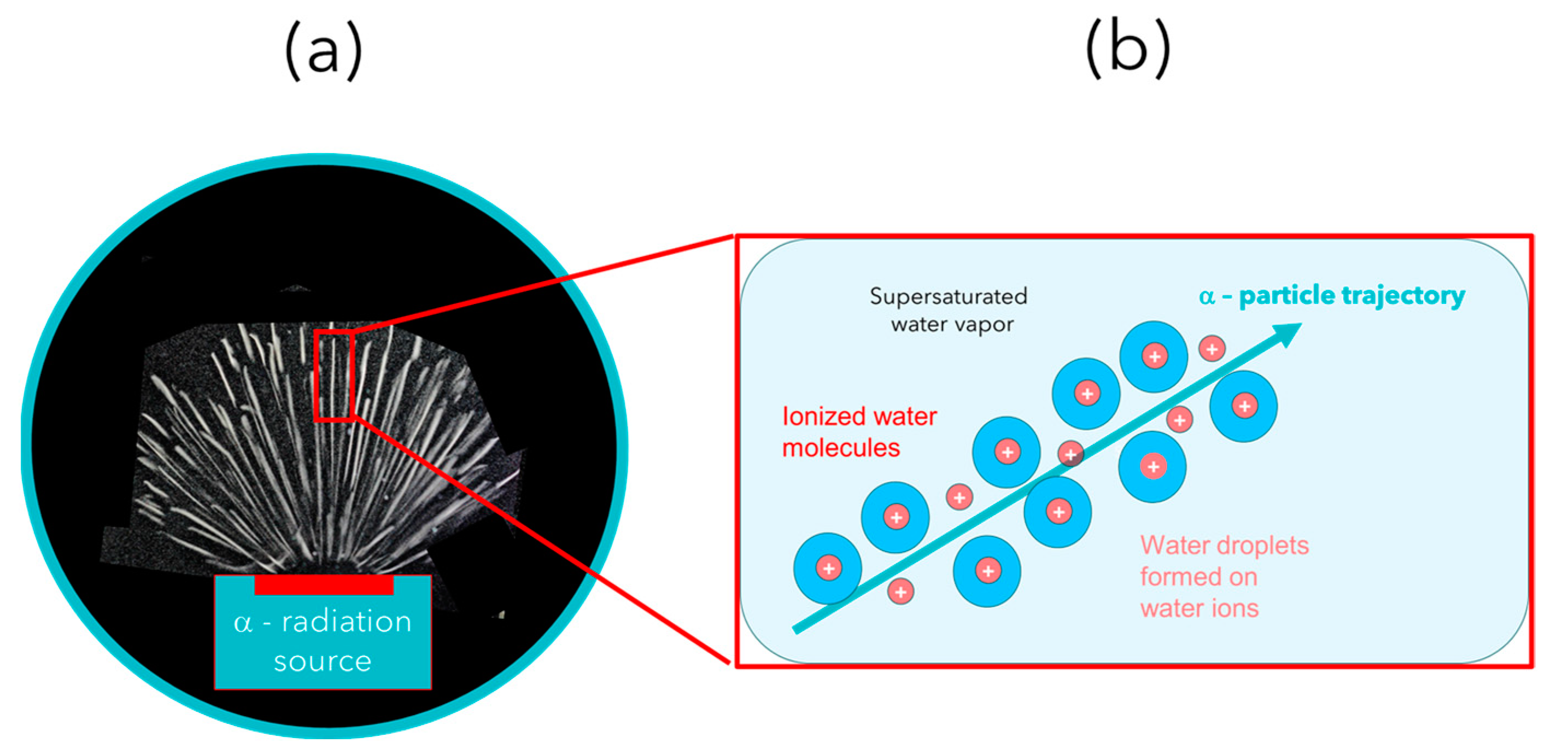 Entropy 26 00255 g003 Entropy 26 00255 g003