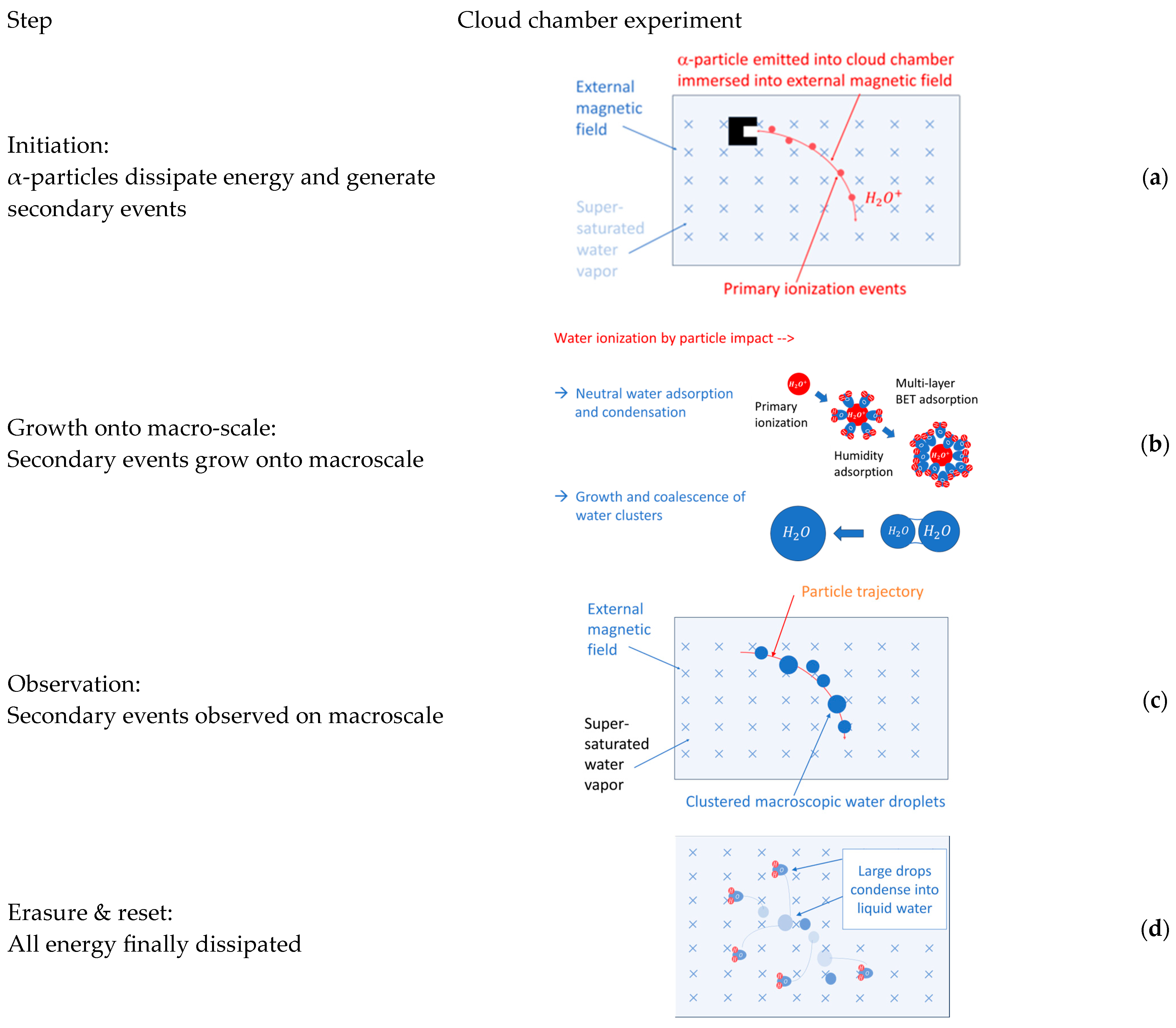 Entropy 26 00255 g006 Entropy 26 00255 g006