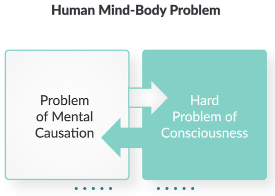 Entropy 26 00288 g001