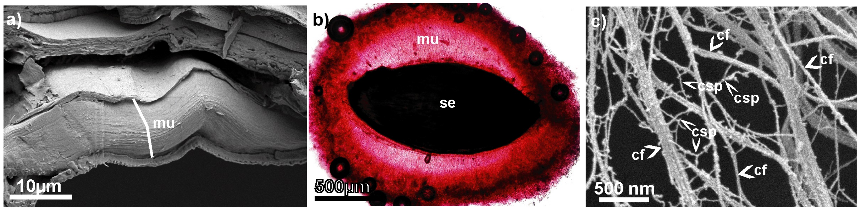 Entropy 26 00380 g001