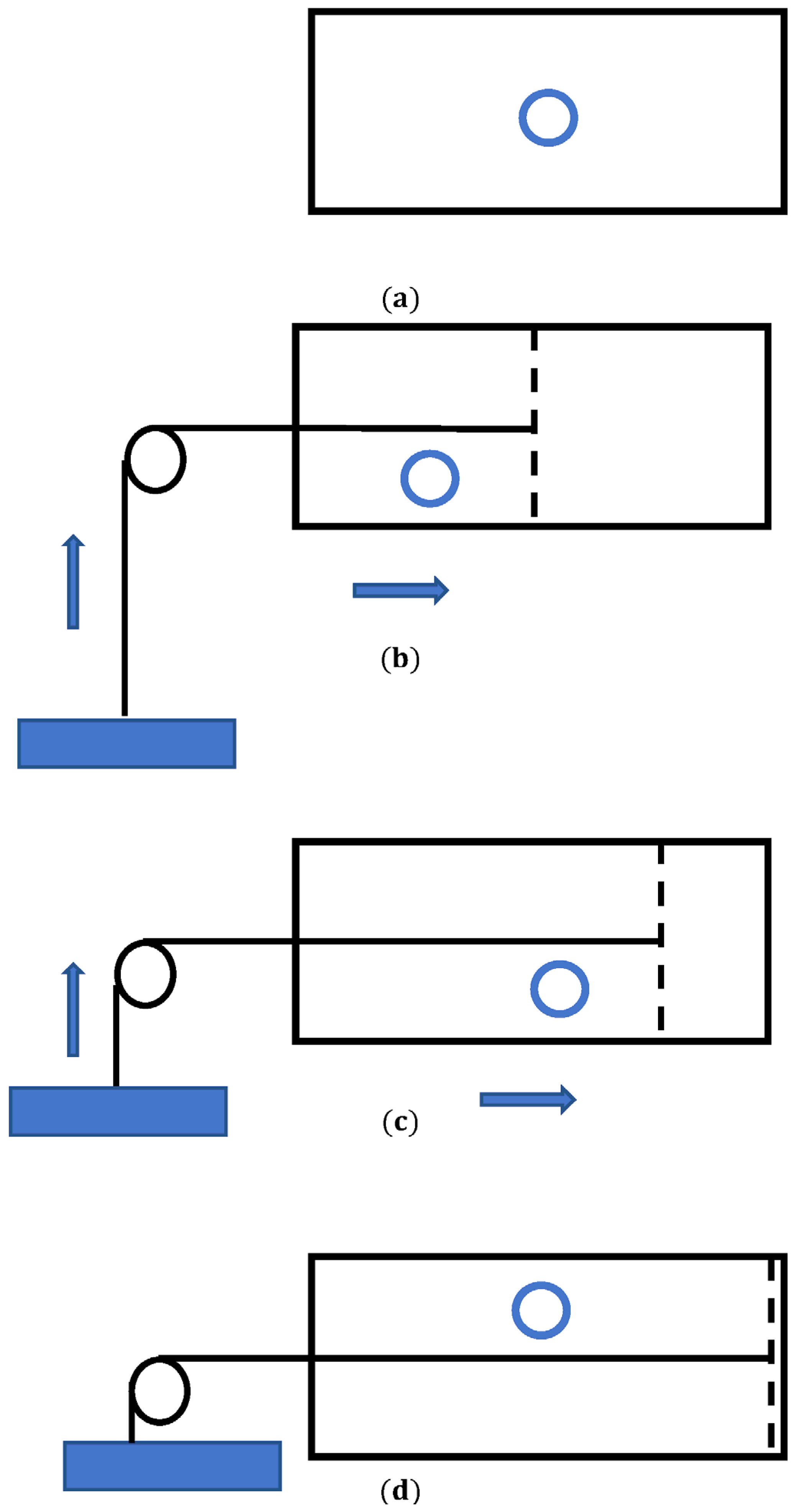 Entropy 26 00423 g003