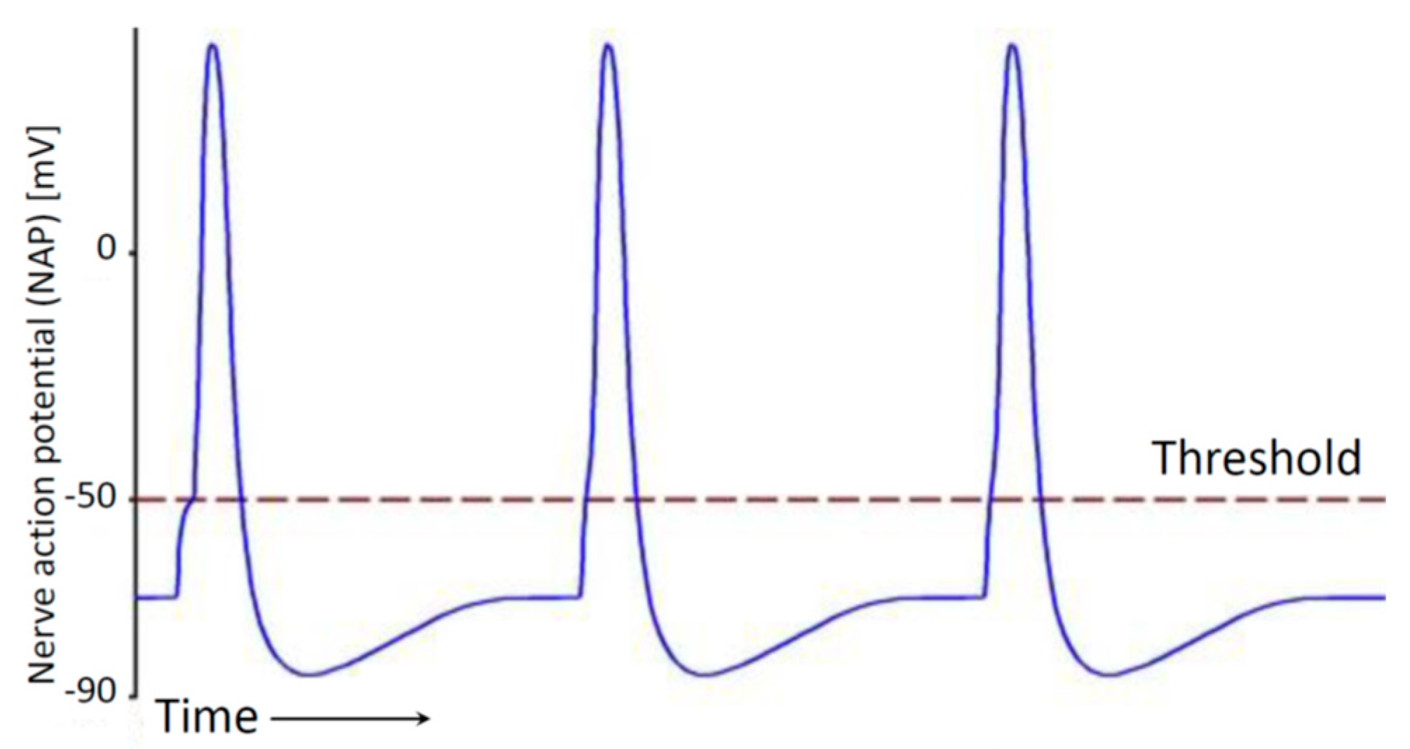 Entropy 26 00430 g001 Entropy 26 00430 g001