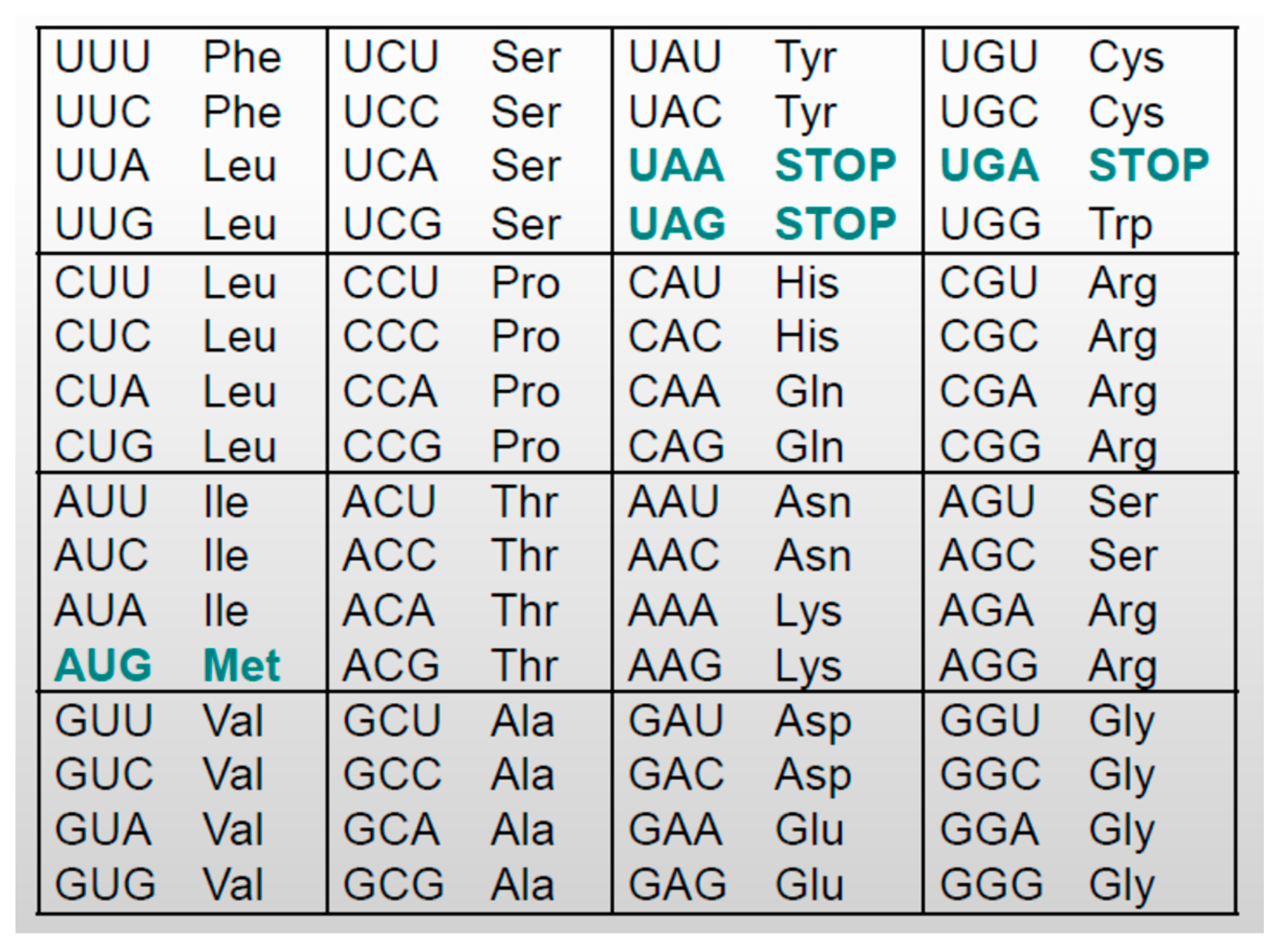 Entropy 26 00430 g002 Entropy 26 00430 g002