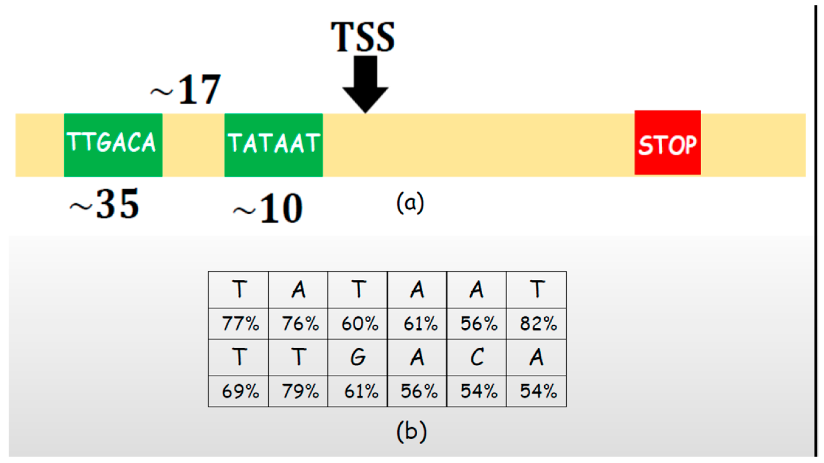 Entropy 26 00430 g005 Entropy 26 00430 g005
