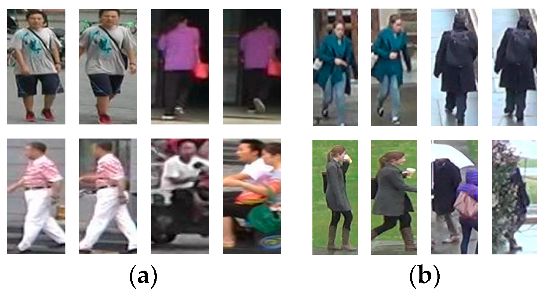 Entropy 26 00436 g007