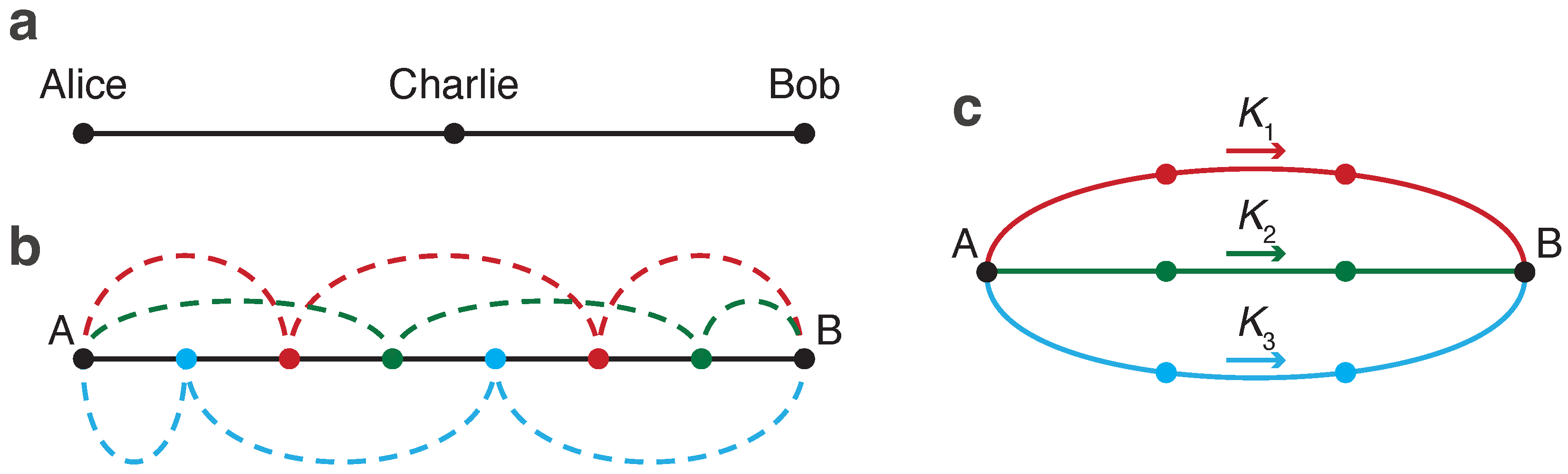 Entropy 26 00437 g008