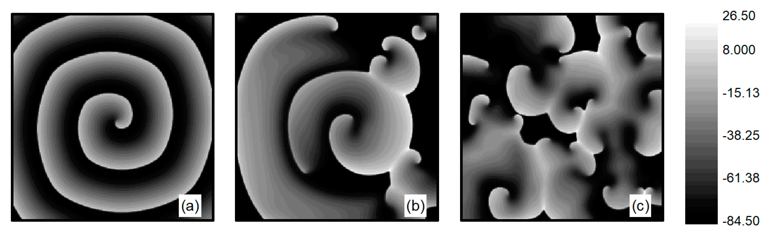 Entropy 26 00446 g002