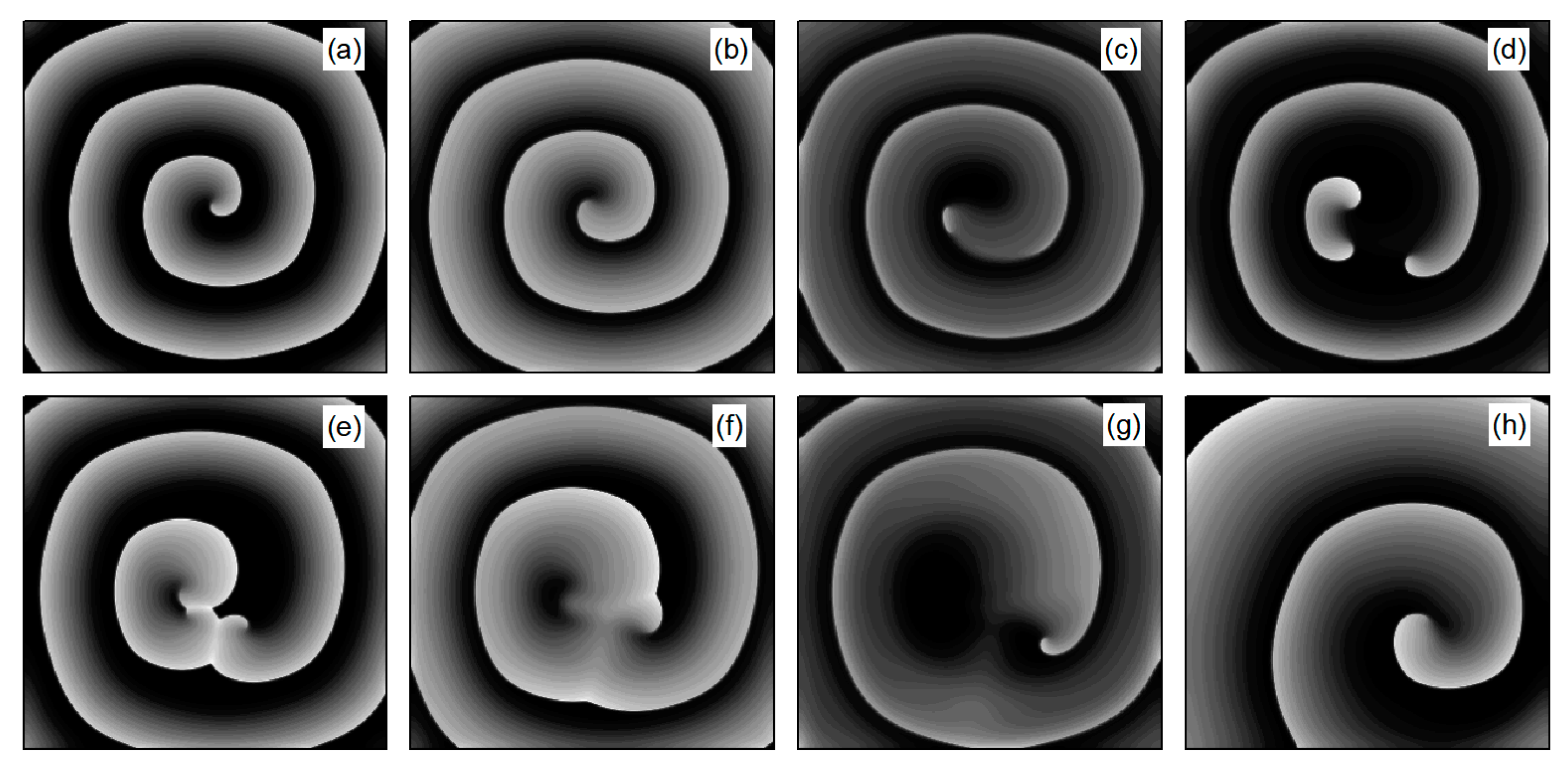 Entropy 26 00446 g008