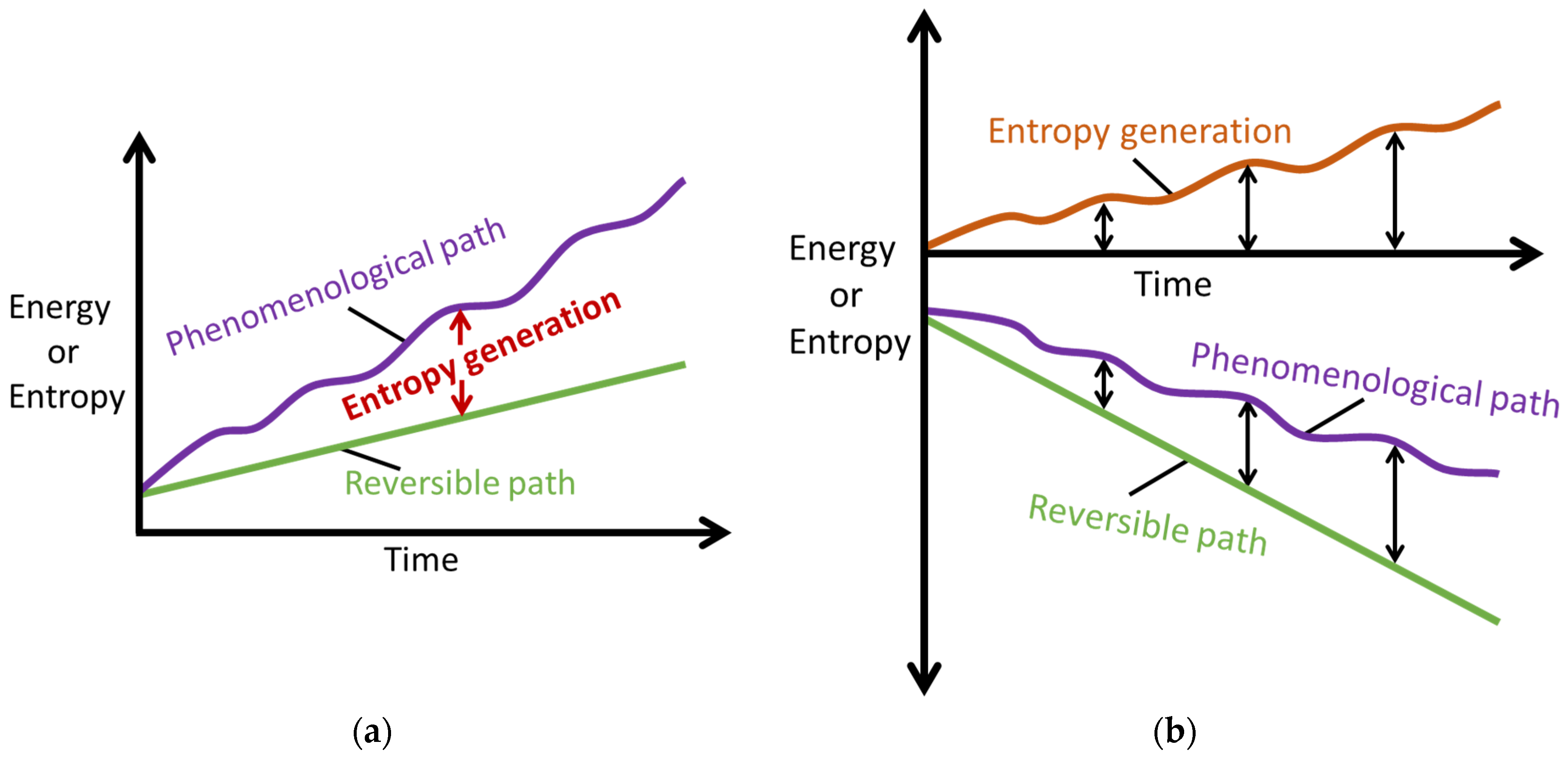 Entropy 26 00454 g001