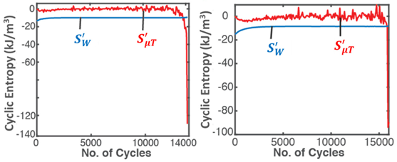 Entropy 26 00454 i013