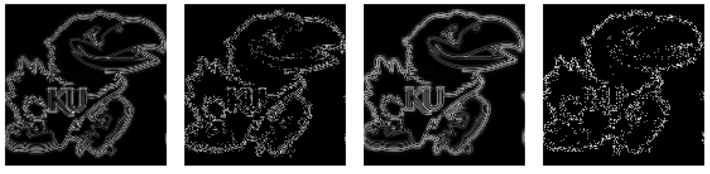 Entropy 26 00461 i004