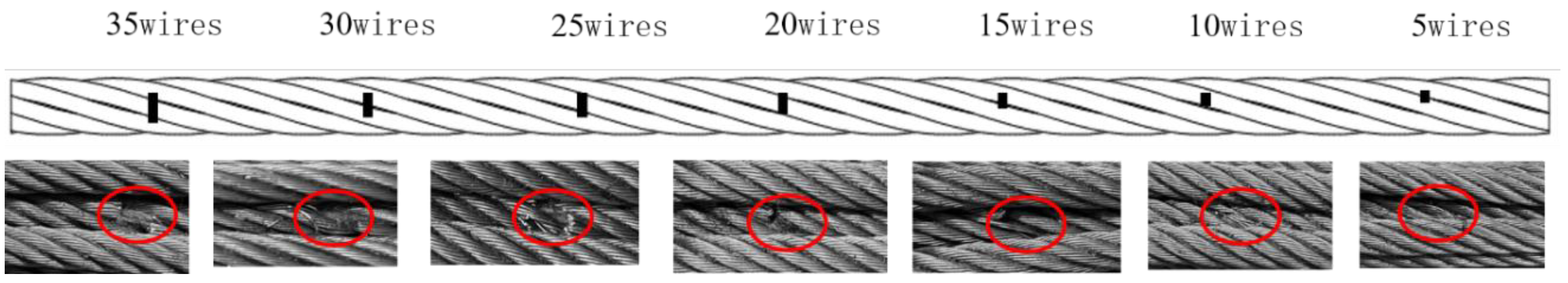 Entropy 26 00531 g002