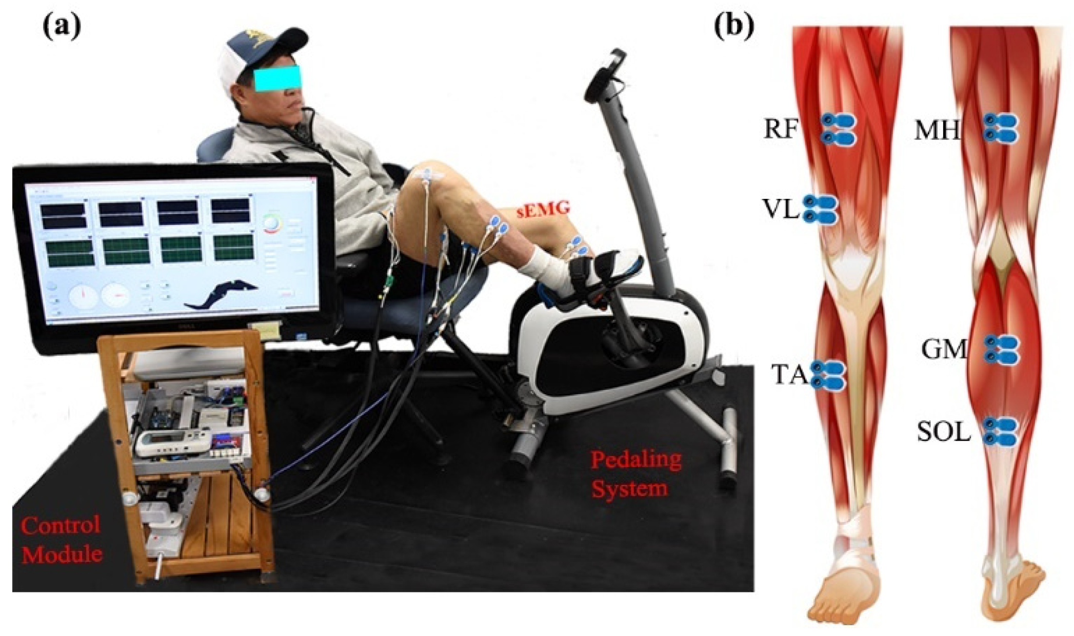 Entropy 26 00538 g001