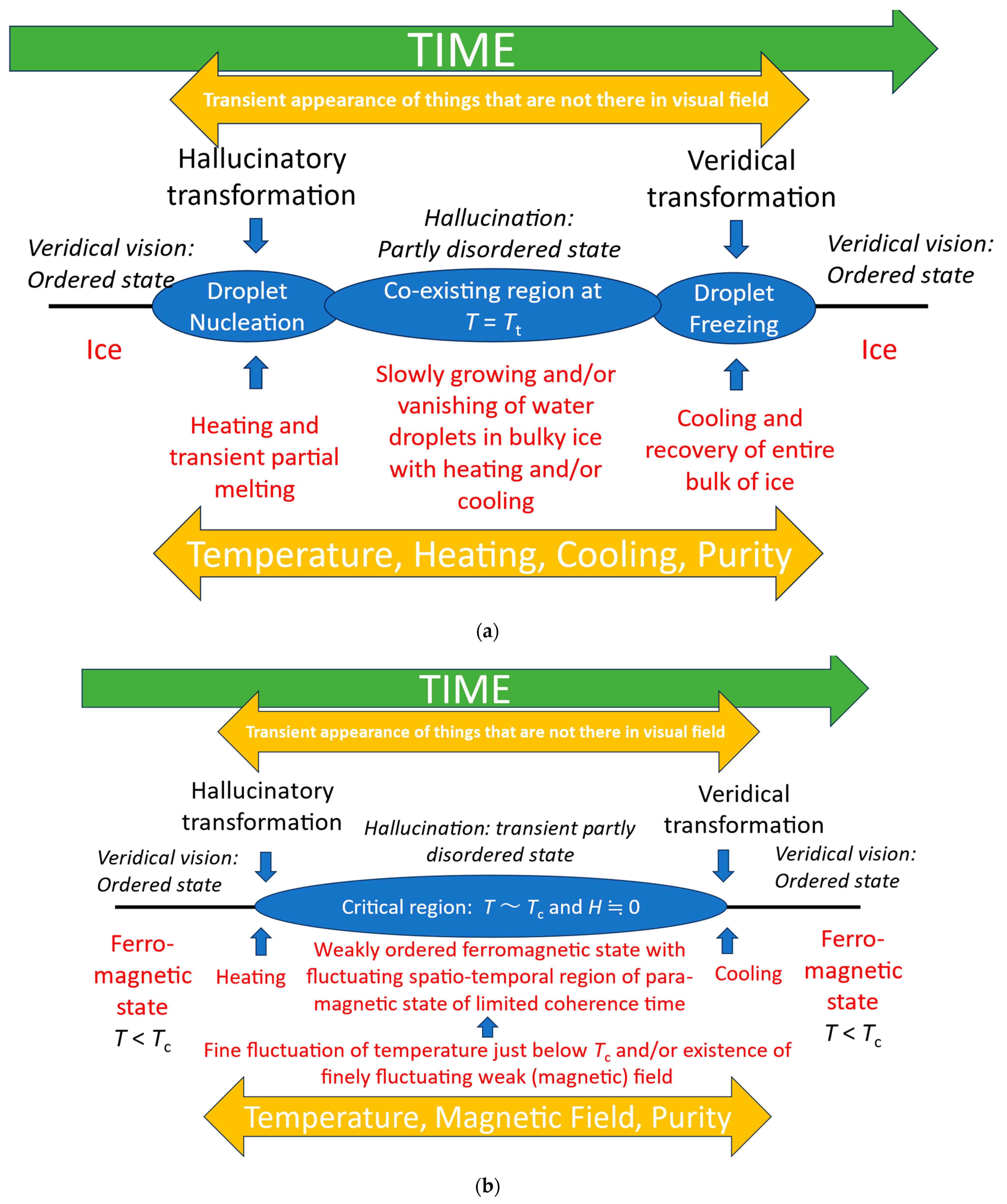 Entropy 26 00557 g005