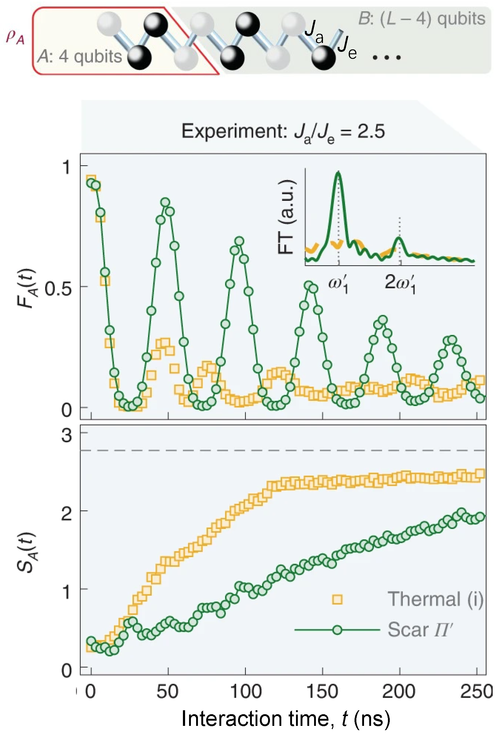 Entropy 26 00592 g009