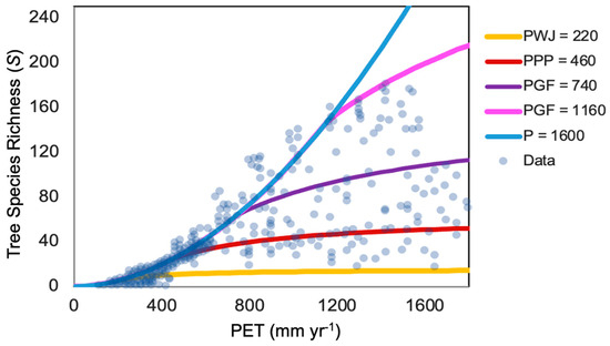 Entropy 26 00641 g001