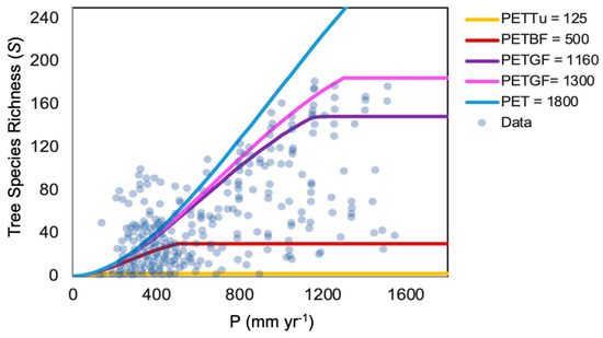 Entropy 26 00641 g002