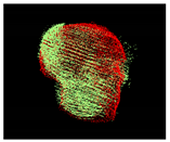 Entropy 26 00646 i009