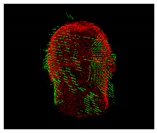 Entropy 26 00646 i011