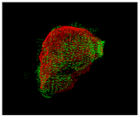 Entropy 26 00646 i015