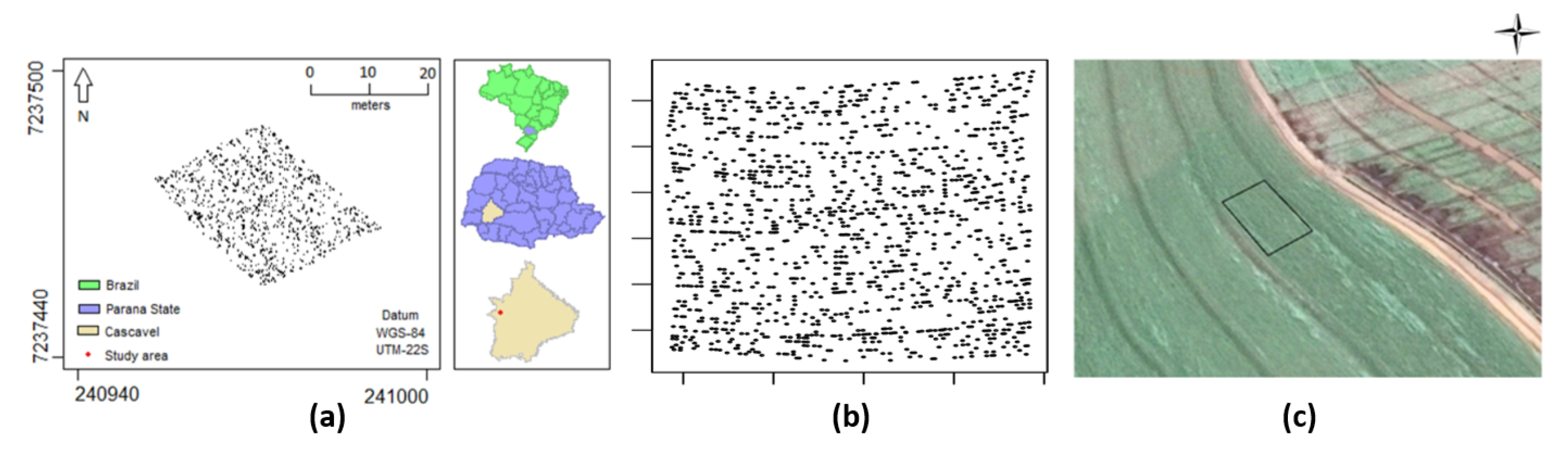 Entropy 26 00678 g007