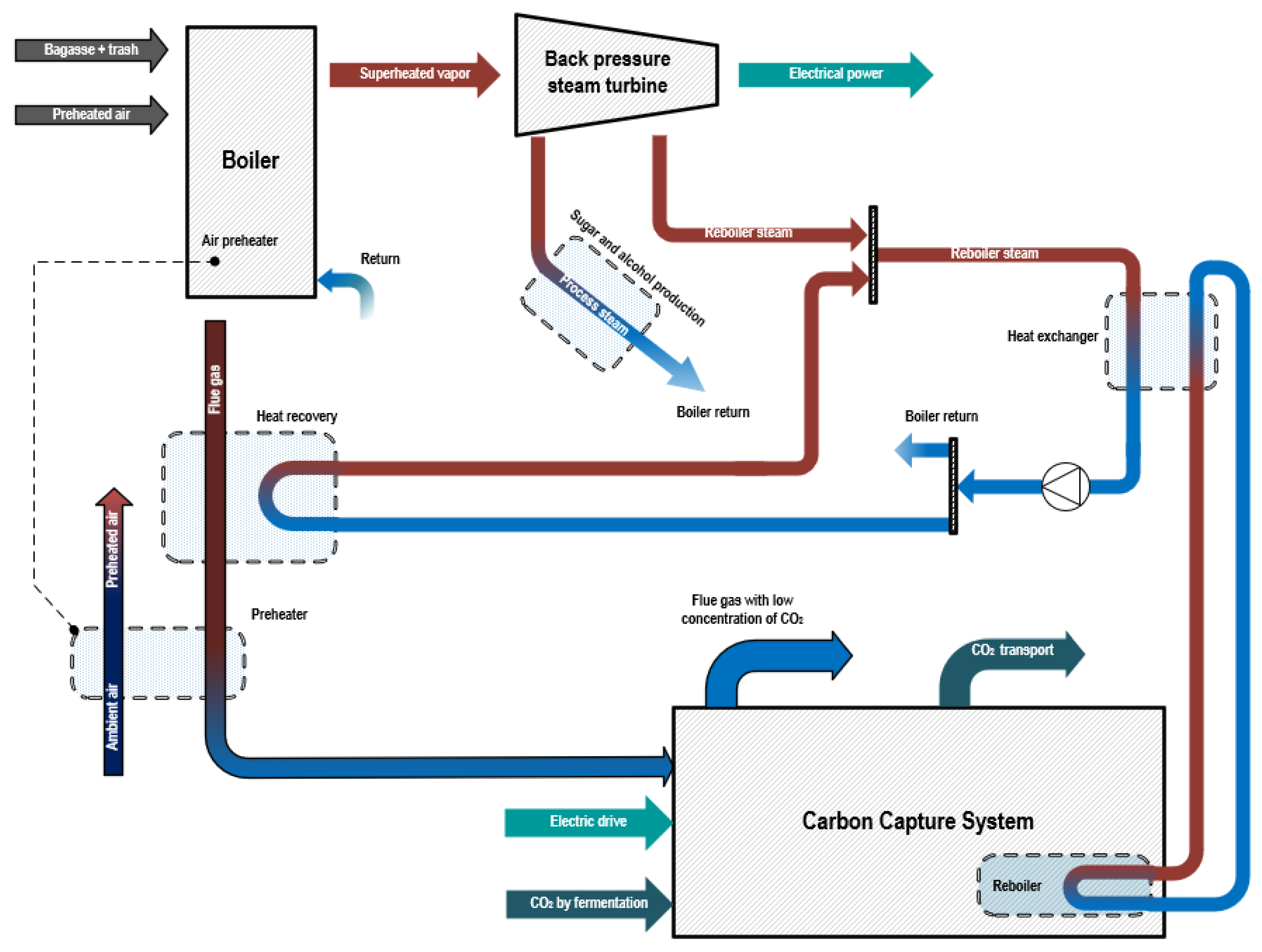 Entropy 26 00698 g001