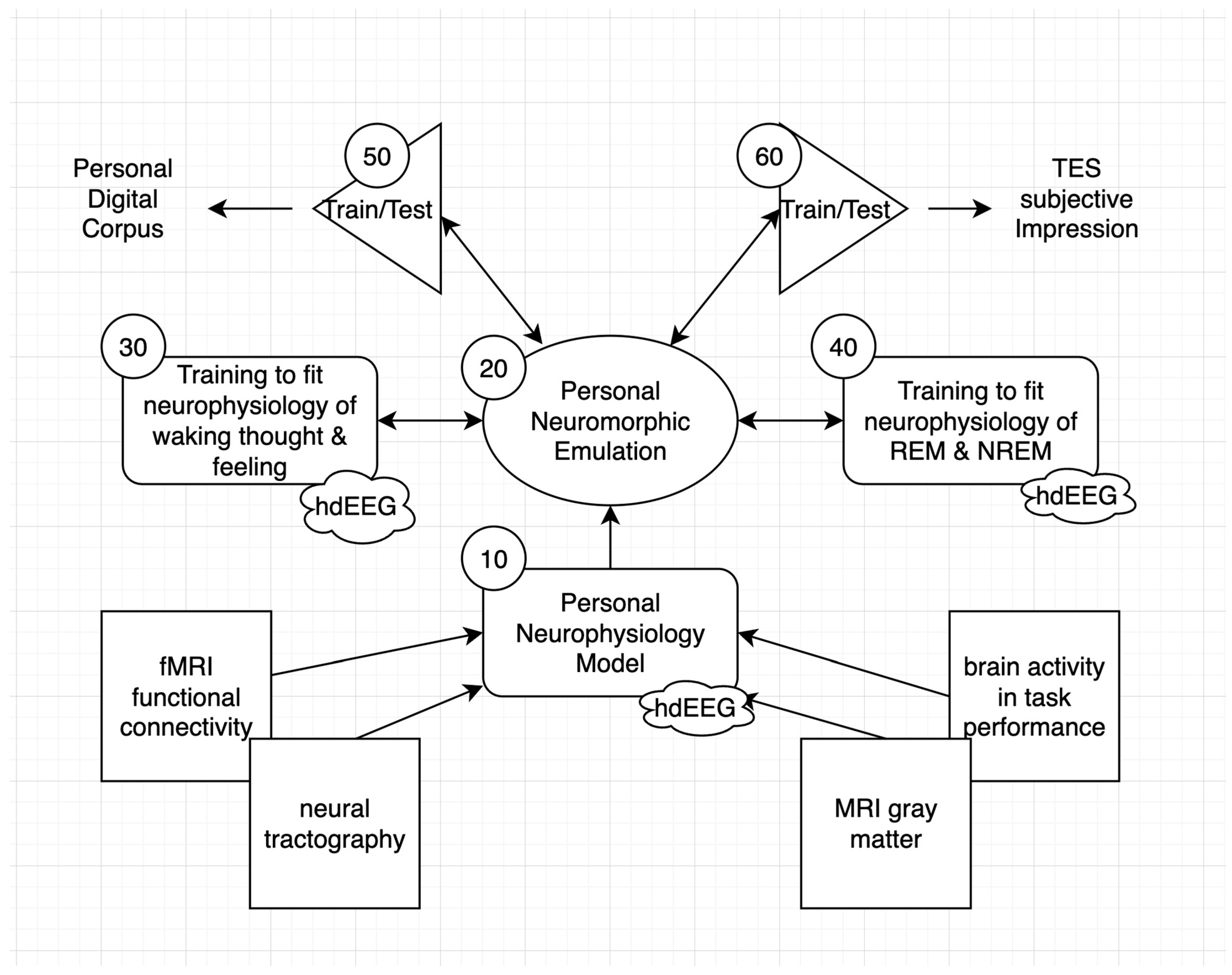 Entropy 26 00759 g001