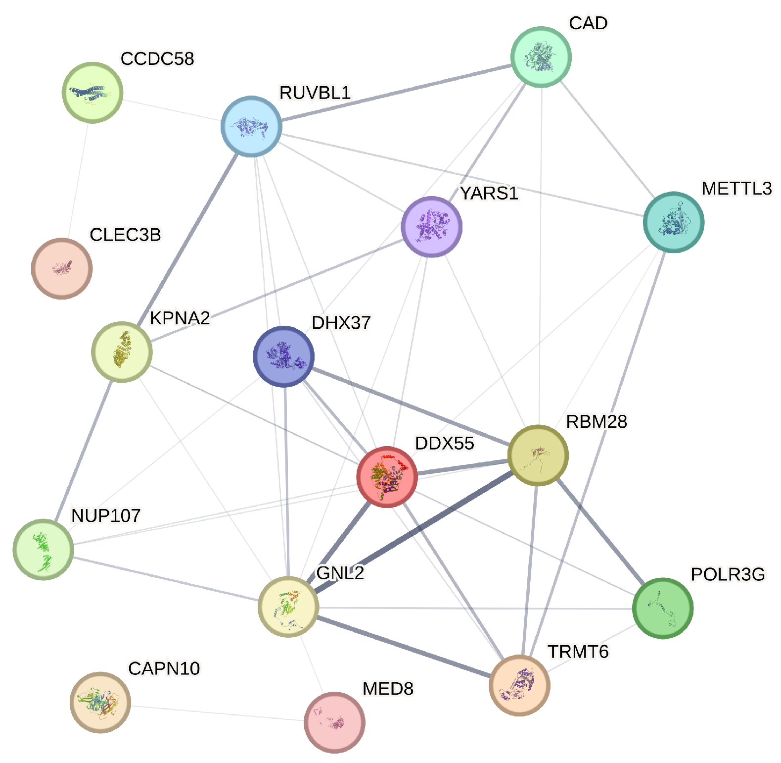 Entropy 26 00767 g005