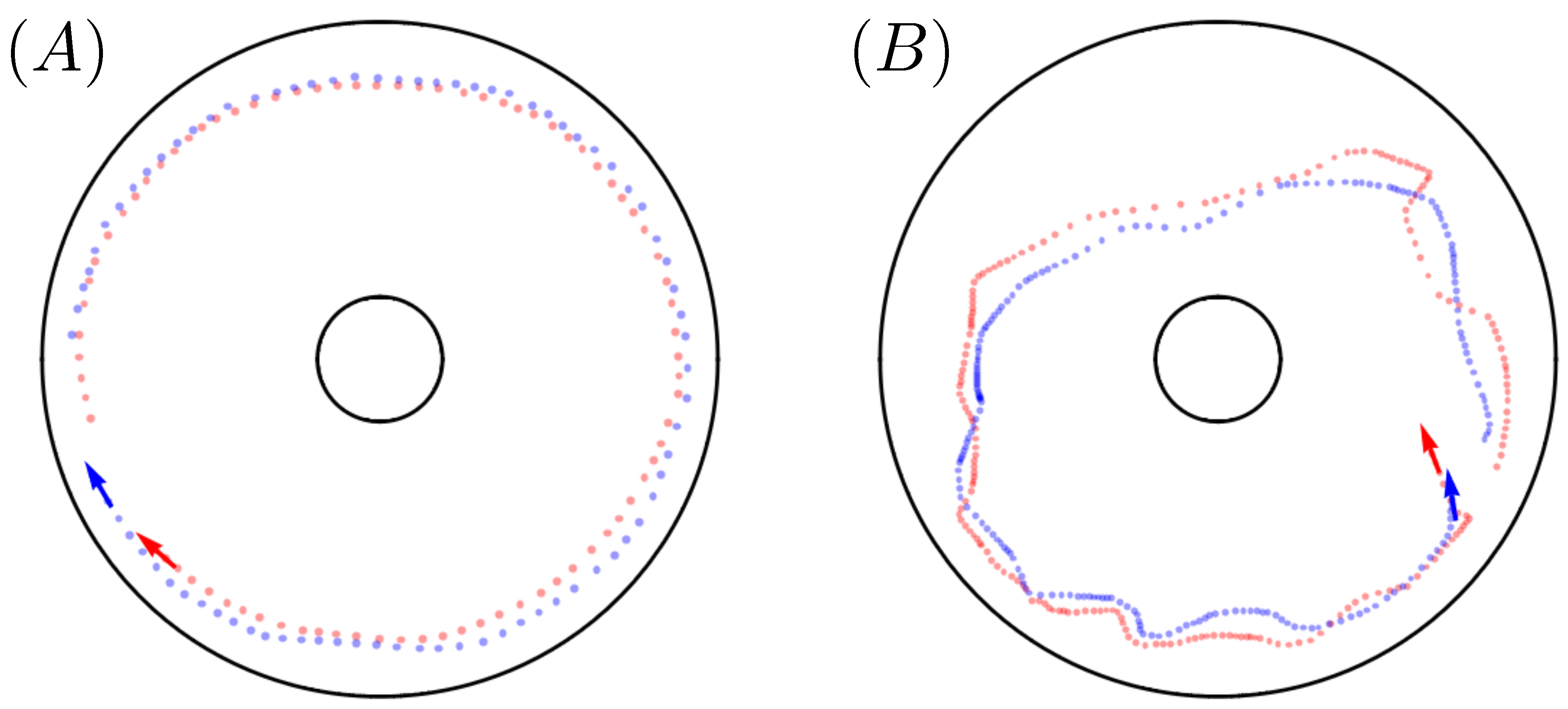 Entropy 26 00775 g002