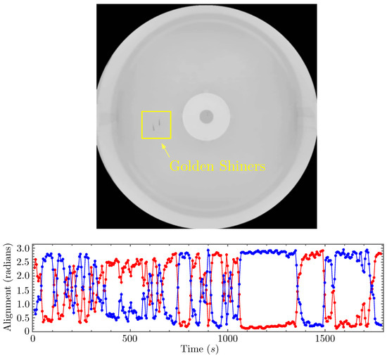 Entropy 26 00775 g0a1