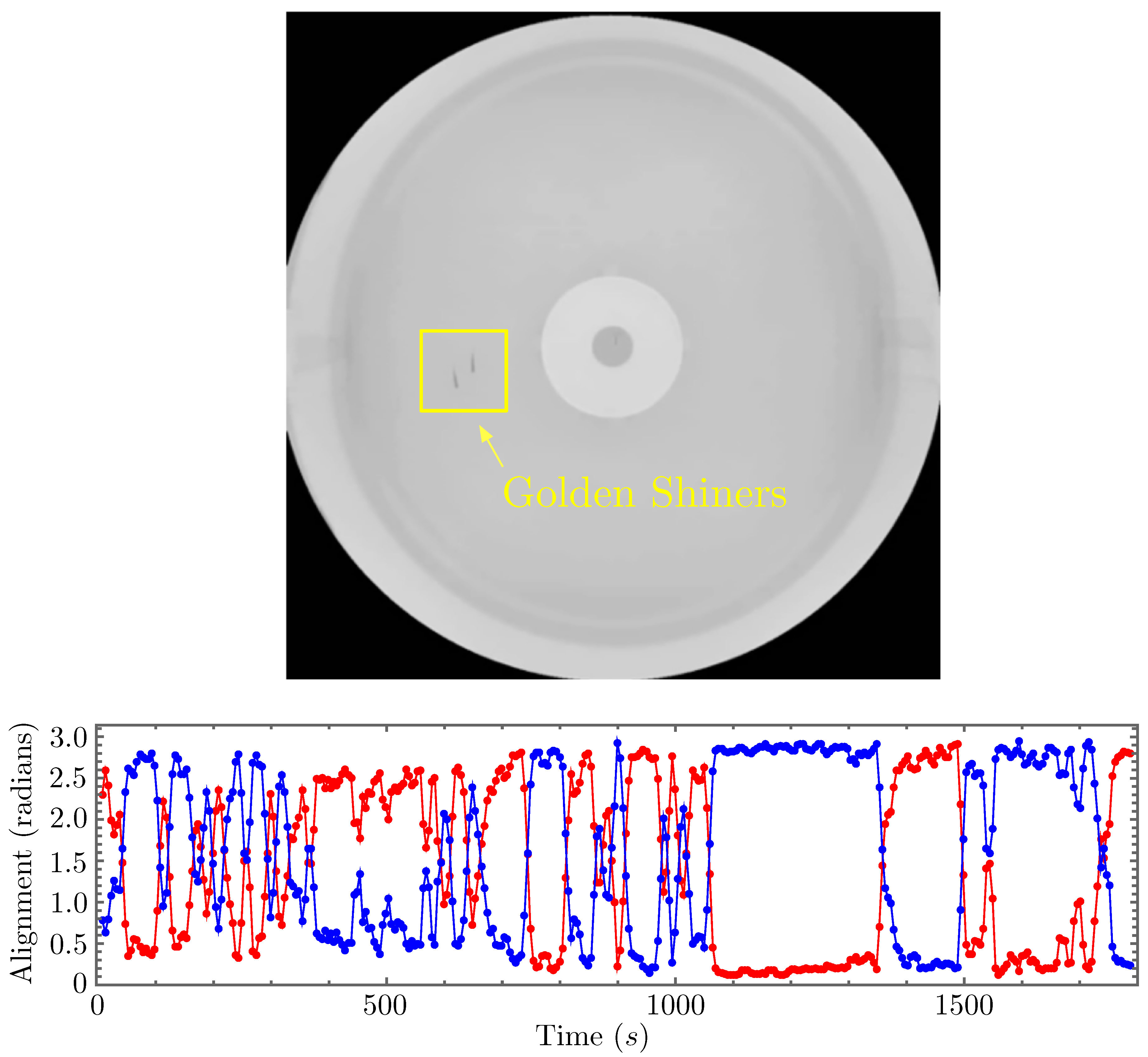 Entropy 26 00775 g0a1