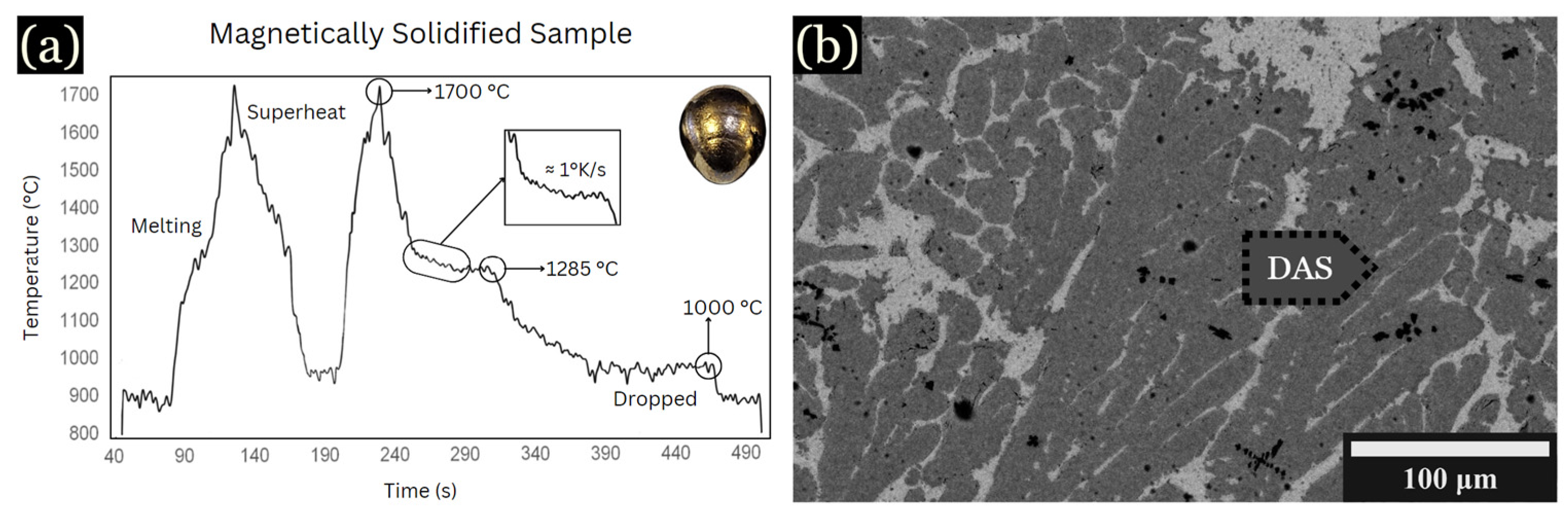 Entropy 26 00826 g002