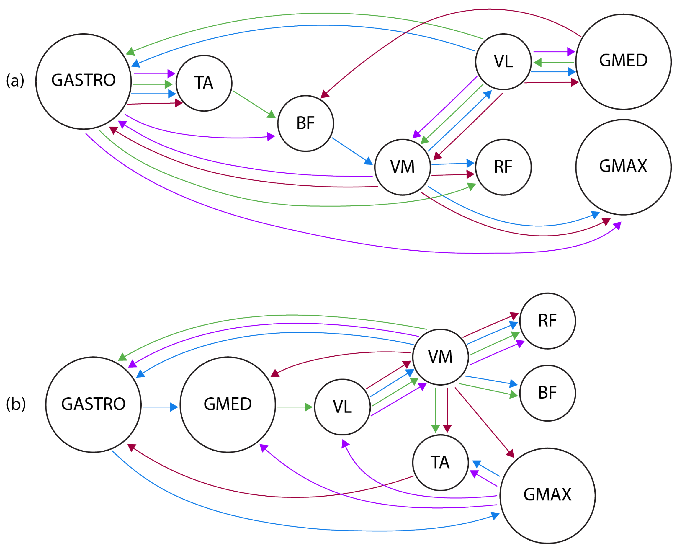 Entropy 26 00829 g011 Entropy 26 00829 g011