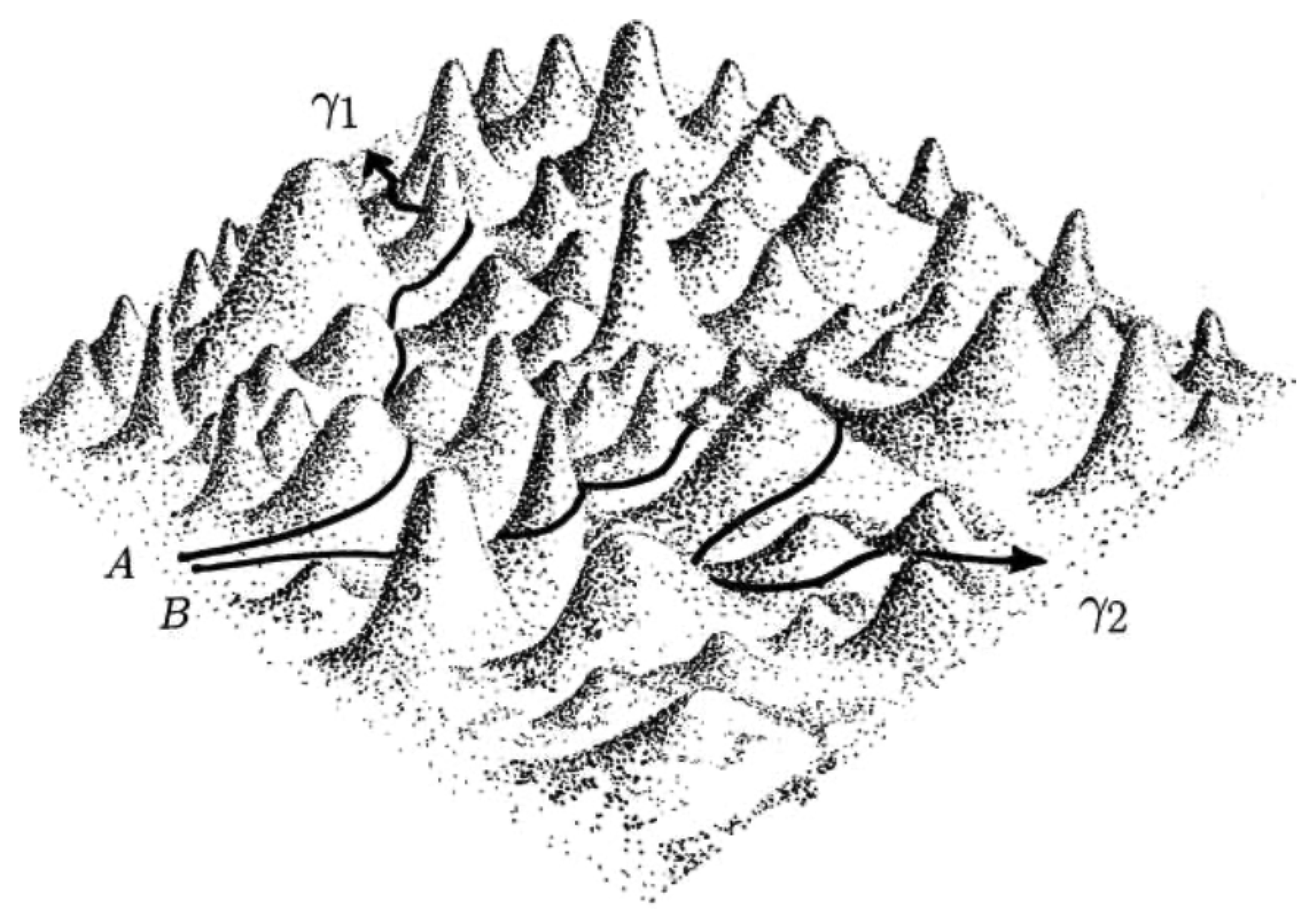 Entropy 26 00840 g002 Entropy 26 00840 g002