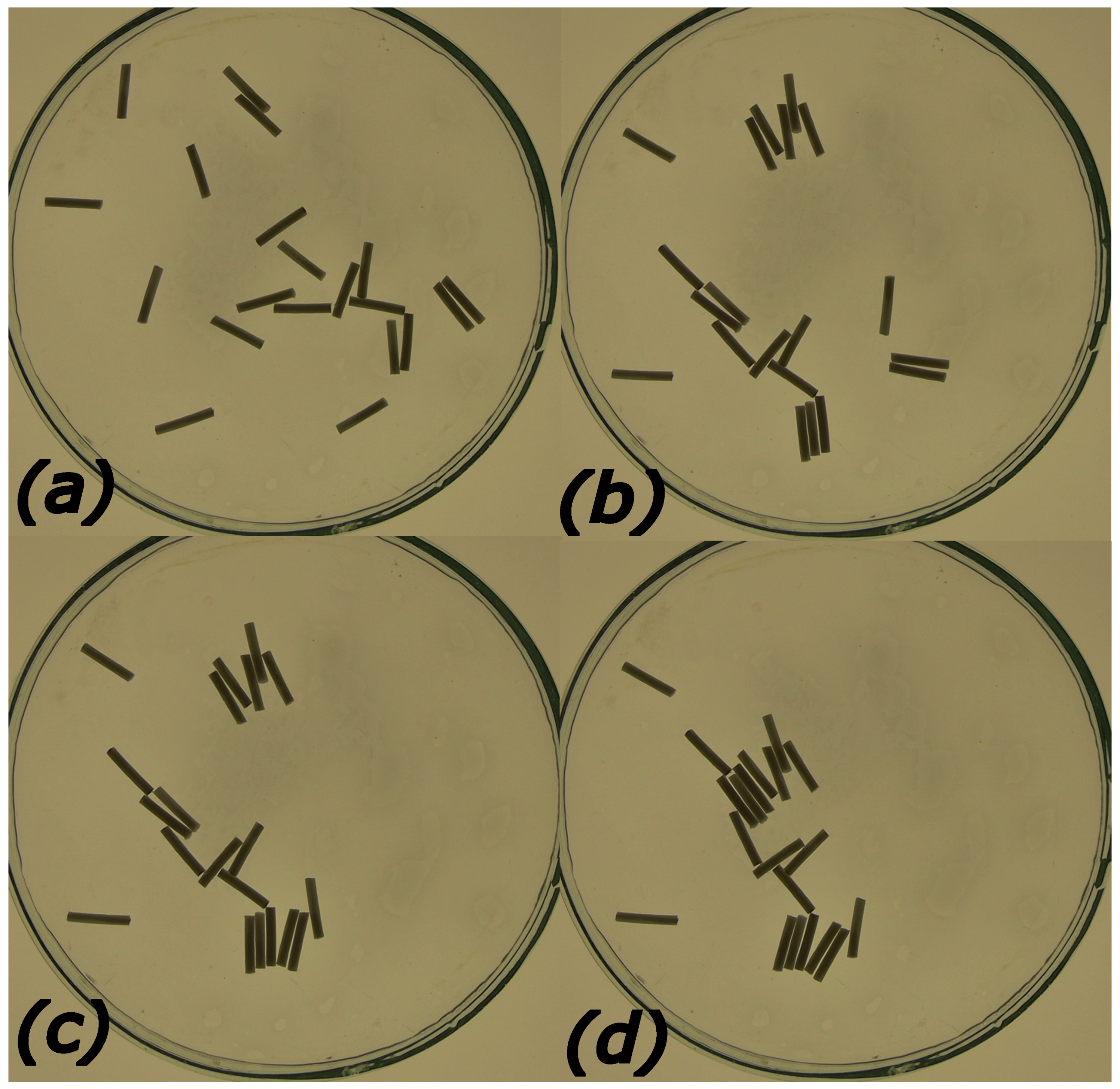 Entropy 26 00980 g001