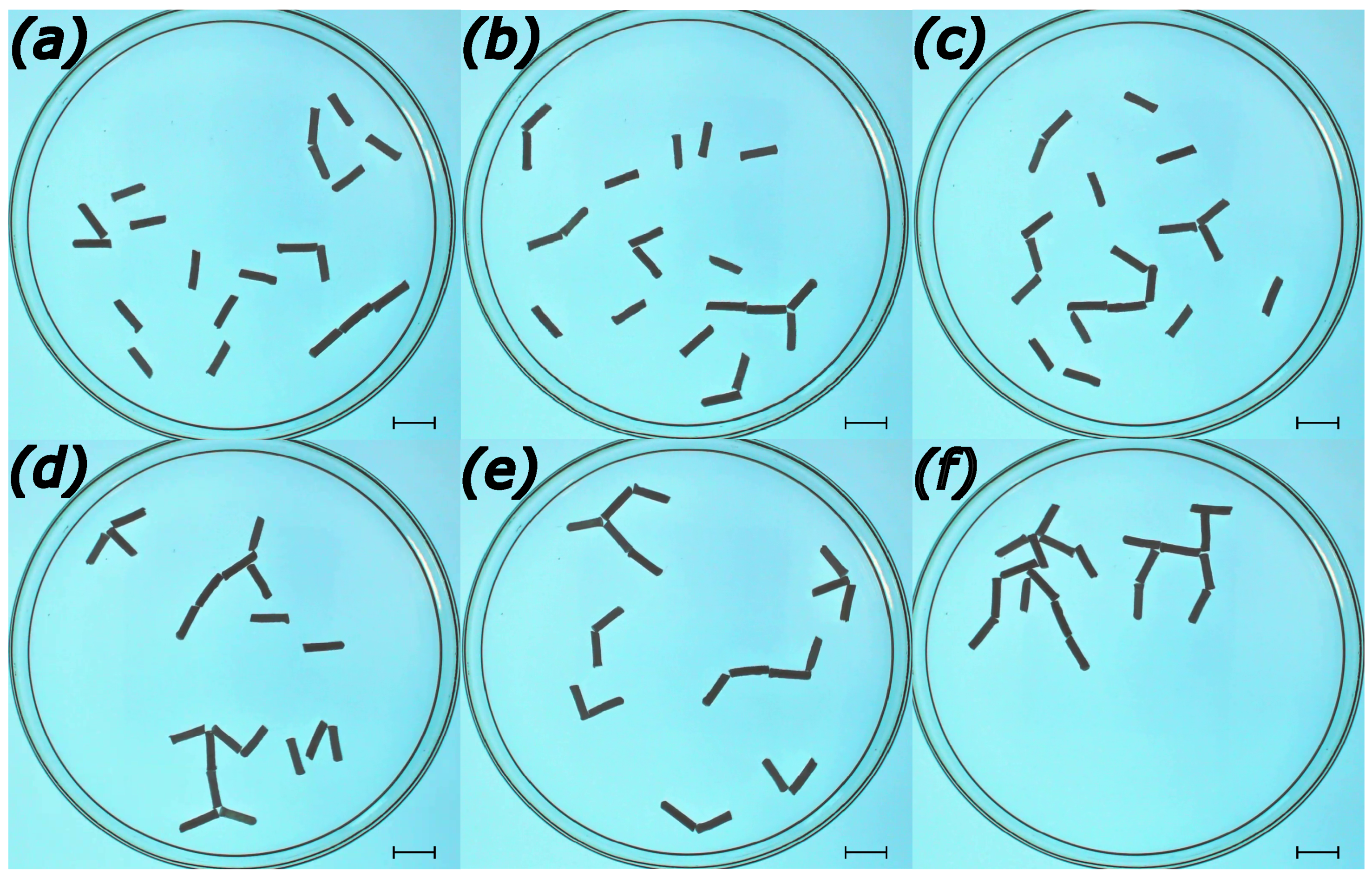 Entropy 26 00980 g002