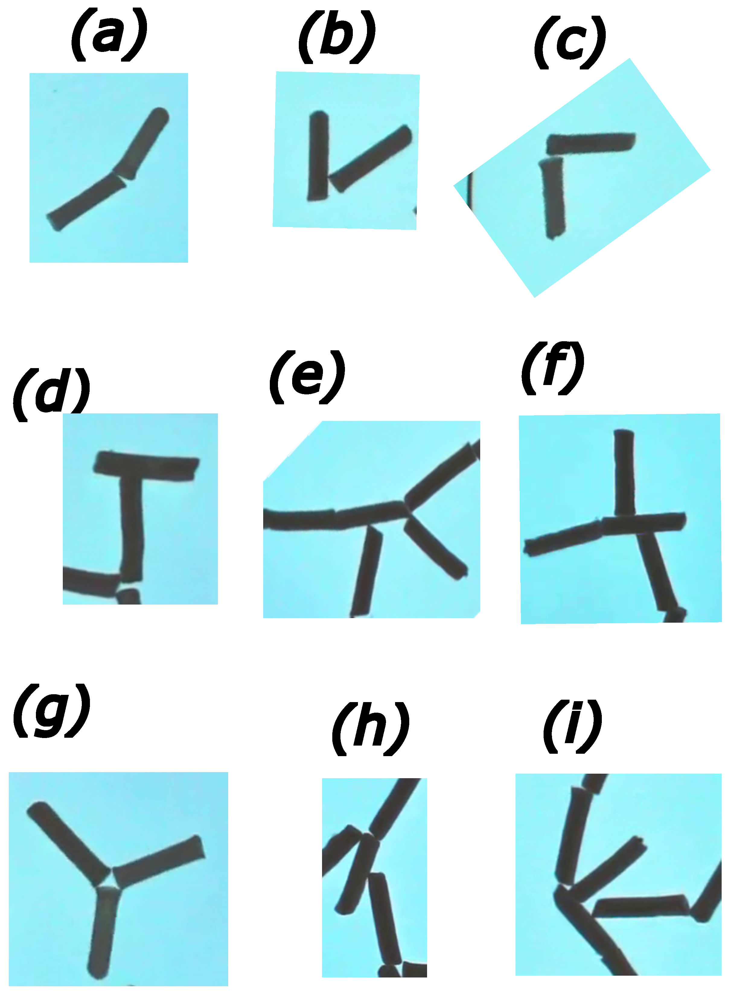 Entropy 26 00980 g005