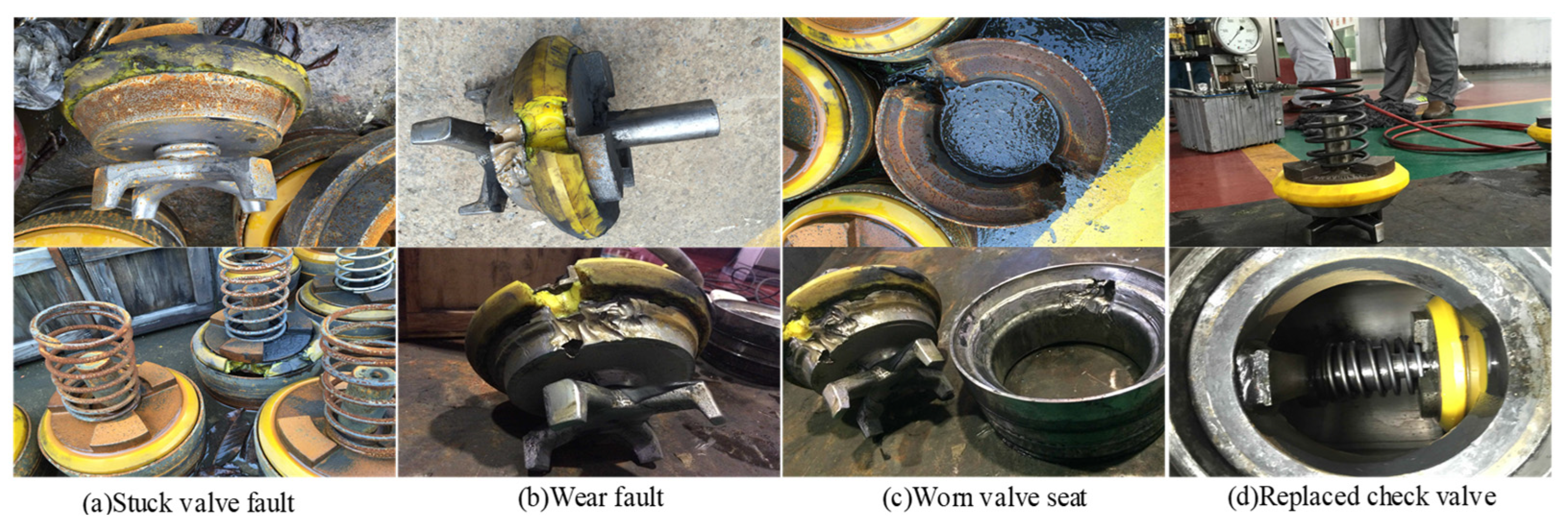 Entropy 26 01031 g013