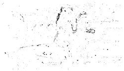 Entropy 26 01130 i001