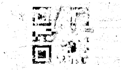 Entropy 26 01130 i004