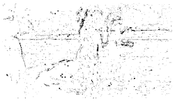 Entropy 26 01130 i006