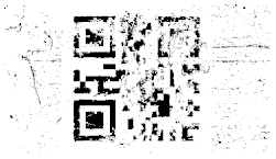 Entropy 26 01130 i010