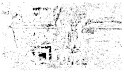 Entropy 26 01130 i012