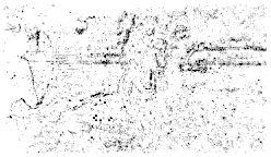 Entropy 26 01130 i016