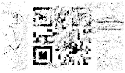 Entropy 26 01130 i019