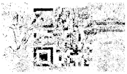 Entropy 26 01130 i028