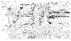 Entropy 26 01130 i031