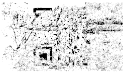 Entropy 26 01130 i032